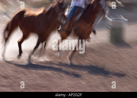 A Tucson Rodeo riders arrivare preparati per il concorso di riscaldare i loro cavalli Foto Stock