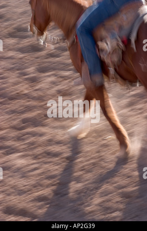 A Tucson Rodeo riders arrivare preparati per il concorso di riscaldare i loro cavalli Foto Stock