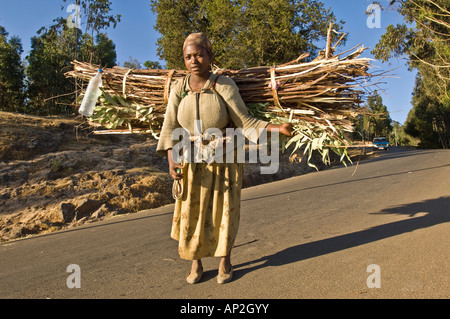 Una donna locale tornare indietro a piedi giù per la montagna Entoto a casa sua ad Addis Abeba portando un gran fascio di legno e rametti. Foto Stock