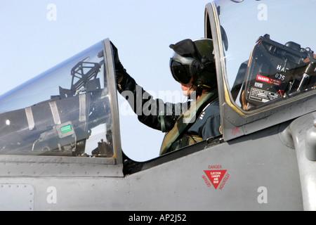 Harrier GR9 pilota Foto Stock