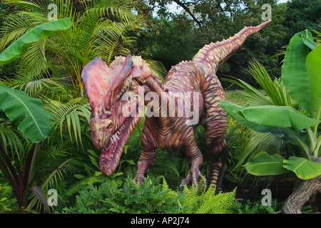 Dilophosaurus che significa doppio crestato dinosauro rettile dall'inizio giurassico va a una lunghezza di 6 metri e w Foto Stock