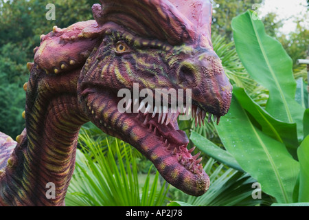 Dilophosaurus che significa doppio crestato dinosauro rettile dall'inizio giurassico va a una lunghezza di 6 metri e w Foto Stock