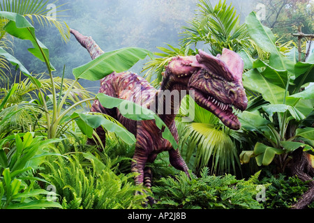 Dilophosaurus che significa doppio crestato dinosauro rettile dall'inizio giurassico va a una lunghezza di 6 metri e w Foto Stock