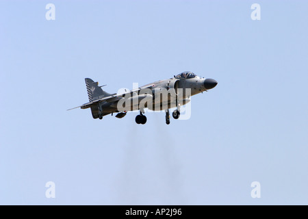 Navy Sea Harriers in formazione di volo display Foto Stock