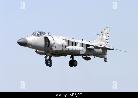 Navy Sea Harriers in formazione di volo display Foto Stock