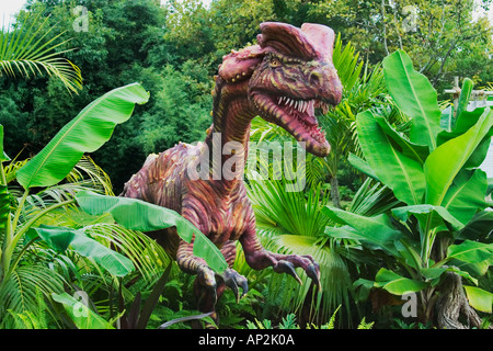 Dilophosaurus che significa doppio crestato dinosauro rettile dall'inizio giurassico va a una lunghezza di 6 metri e w Foto Stock