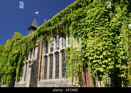 Gli antichi edifici ricoperti di edera in Taunton Somerset Foto Stock
