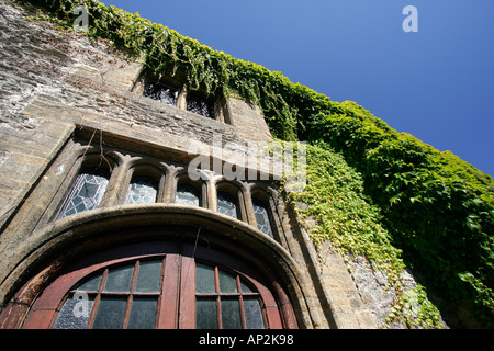 Gli antichi edifici ricoperti di edera in Taunton Somerset Foto Stock