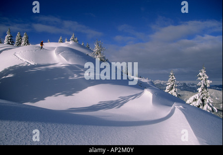 Cornicioni e coperti di neve abeti con backcountry skiier a Schildenstein, alpi bavaresi, Tegernsee, Alta Baviera, Baviera, Foto Stock