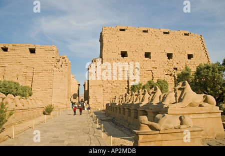 Viale di sfingi e primo pilone voce, Tempio di Karnak e Luxor, Alto Egitto, Medio Oriente. DSC 4447] Foto Stock