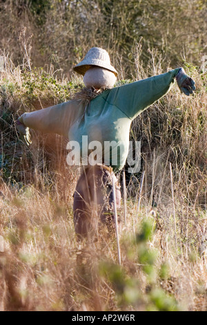 Lo Spaventapasseri occupato a spaventare gli uccelli in un agricoltore campo s Foto Stock