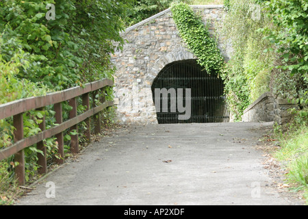 Tunnel Trevithicks a Merthyr Tydfil South Wales UK 2005 Foto Stock