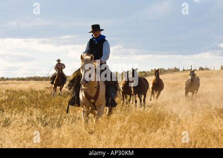 I cowboys con i cavalli, Oregon, Stati Uniti d'America Foto Stock