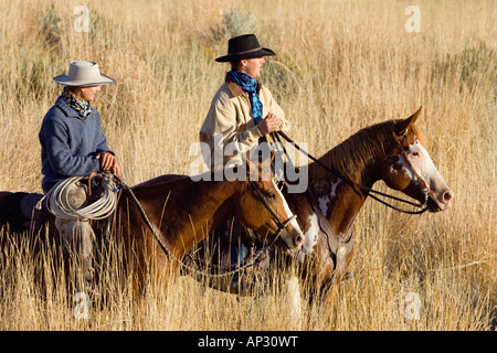 Cowboy su cavalli, Oregon, Stati Uniti d'America Foto Stock