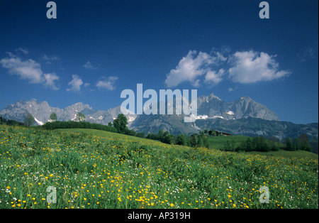 Vista di Wilder Kaiser gamma con tradizionale casa colonica, Wilder Kaiser gamma, intervallo di Kaiser, Tirolo, Austria Foto Stock