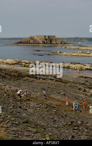 La spiaggia e la vista da Thorn isola a ovest della baia di angolo Pembrokeshire Wales UK Foto Stock