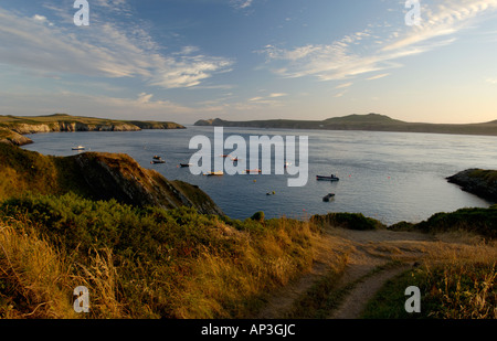 Ramsey Suono da St Justinians Pembrokeshire Coast National Park Wales UK Foto Stock