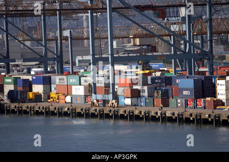 Contenitori impilati nel porto di Belfast IRLANDA REGNO UNITO Foto Stock