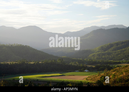 I campi di zucchero di canna poco Mulgrave vicino a Cairns North Queensland Australia Foto Stock