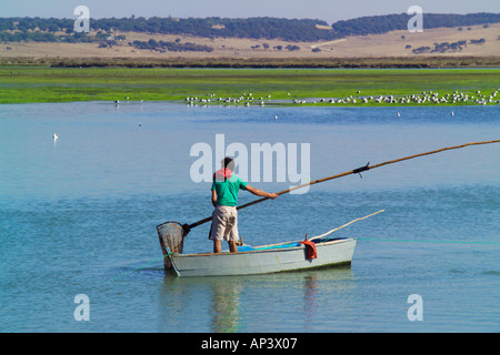 Oyster pescatore cattura le ostriche dal letto del fiume a Barbate de Franco Spagna meridionale Foto Stock