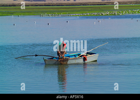 Oyster pescatore cattura le ostriche dal letto del fiume a Barbate de Franco Spagna meridionale Foto Stock