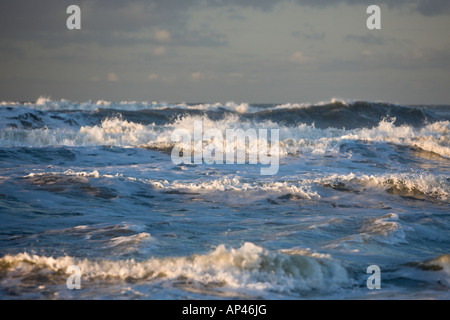 Tempesta di neve sul Mare del Nord la creazione massiccia di onde da surf rotoli sulla costa. Foto Stock