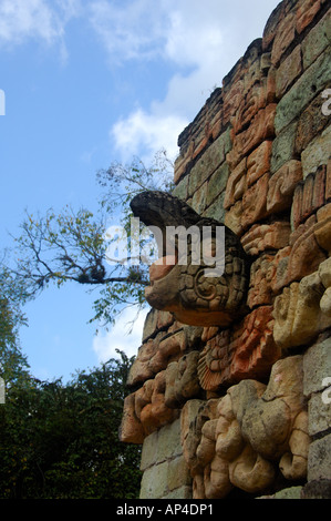 America centrale, Honduras, Copan (aka Xukpi in Maya). Stone scarlet macaw, struttura 10L-10, affacciato ballcourt. Foto Stock