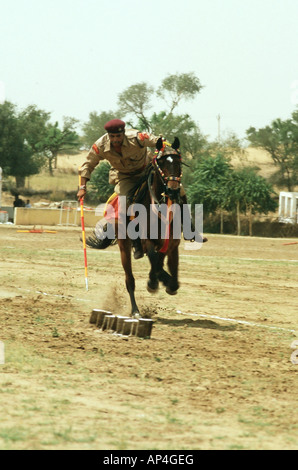 Marwari horse in tenda-ancoraggio contest Foto Stock