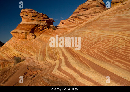 L'Onda una straordinaria area di sinuose eroso nastrati rocce di arenaria nella Paria Vermillion Cliffs National Monument in Arizona Foto Stock