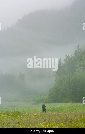 Pioggia e nebbia, Juneau in Alaska, STATI UNITI D'AMERICA Foto Stock