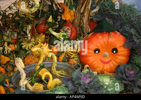 Display di zucca in artistico forma di uccelli e verniciato con volto sorridente Foto Stock