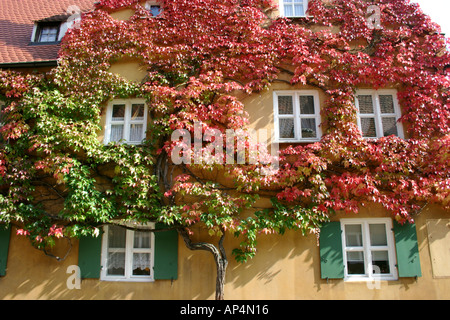 Incolto pittoresca casa a la Fuggerei più antico insediamento sociale nel mondo Augsburg Baviera Germania Foto Stock