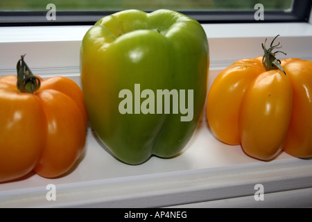 Tre peperoni, una grande verde e due piccoli arancia sul davanzale della finestra Foto Stock