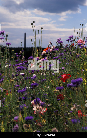 Express Test di sollevamento torre, Northampton, England, Regno Unito Foto Stock