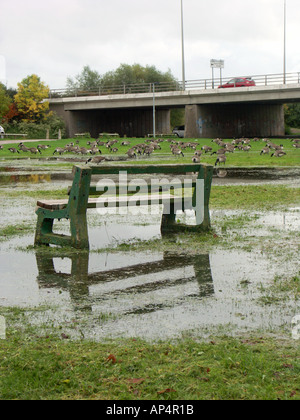 Una panchina nel parco parzialmente sommerse da inondazioni nel Regno Unito Foto Stock