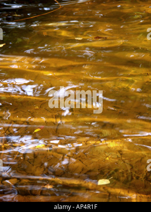 Ripples in ruggine acqua colorata. La colorazione è causata dalla contaminazione dalla vecchia miniera di carbone di lavorazioni in zona. Foto Stock