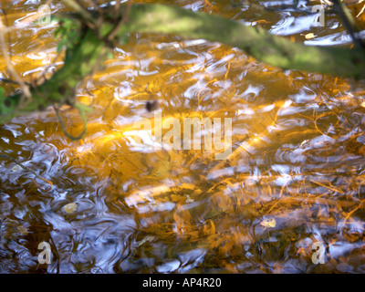 Ripples in ruggine acqua colorata. La colorazione è causata dalla contaminazione dalla vecchia miniera di carbone di lavorazioni in zona. Foto Stock