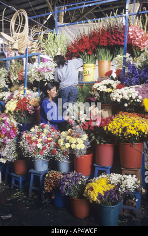 Le donne peruviane a lavorare sul loro fiore in stallo il mercato locale, fiore titolari di stallo, il mercato dei fiori Foto Stock
