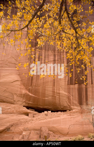 La Casa Bianca rovina in Canyon De Chelly Monumento Nazionale su Navajo Tribal terreno del XIII secolo ancestrale indiana dei Pueblo Foto Stock