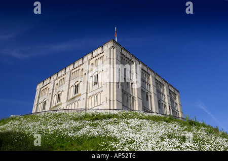 Il castello di Norwich Norfolk REGNO UNITO CON Margherite Oxeye in giugno Foto Stock