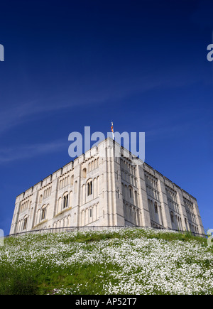 Il castello di Norwich Norfolk REGNO UNITO CON Margherite Oxeye in giugno Foto Stock