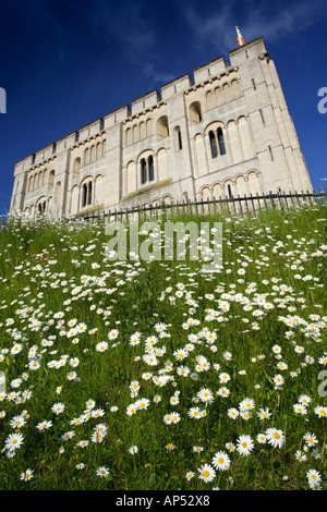 Il castello di Norwich Norfolk REGNO UNITO CON Margherite Oxeye in giugno Foto Stock