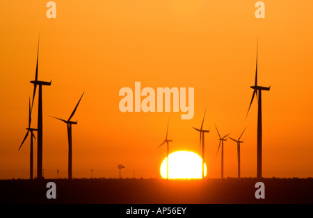 Wind Turbine alimentate all'alba sul Texas wind farm. Foto Stock