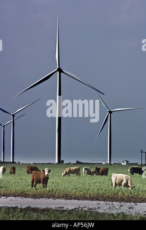 Wind Turbine alimentate sul Texas wind farm con bestiame al pascolo. Foto Stock