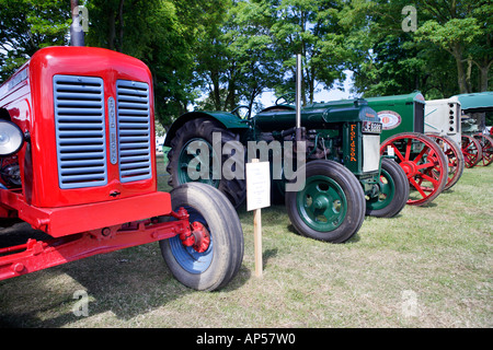 Trattori d'epoca Royal Norfolk Visualizza REGNO UNITO Foto Stock