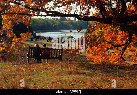 Una vista del fiume Tamigi da Kew Gardens Richmond upon Thames Regno Unito Inghilterra Foto Stock