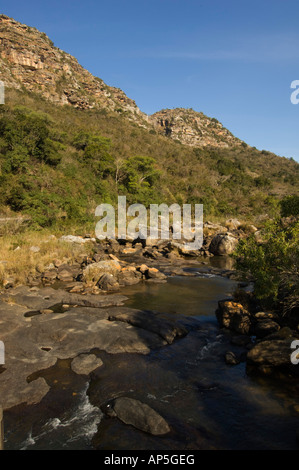 Fiume Umzimkulwane, Oribi Gorge Riserva Naturale, KwaZulu Natal, Sud Africa Foto Stock