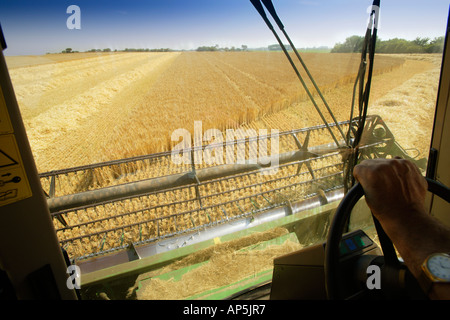 Vista dalla cabina della mietitrebbia John Deere Harvester orzo raccolto Mundesley NORFOLK REGNO UNITO Foto Stock