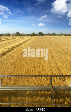 Vista dalla cabina della mietitrebbia John Deere Harvester orzo raccolto Mundesley NORFOLK REGNO UNITO Foto Stock