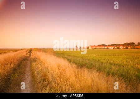 Percorso attraverso le paludi, Cley accanto al mare, NORFOLK REGNO UNITO Foto Stock